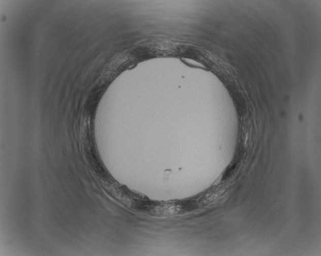 X0000066940225200604211758