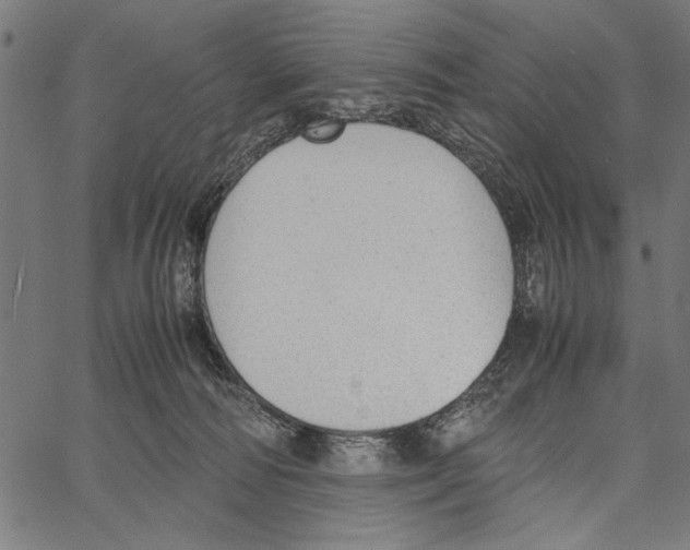 X0000066940226200604211758