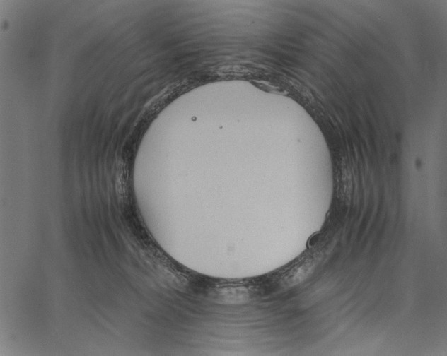 X0000066940228200604211758