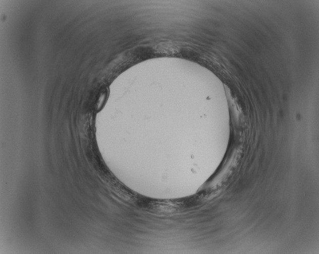 X0000066940229200604211758