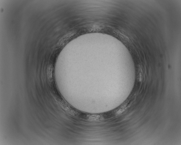 X0000066940230200604211758