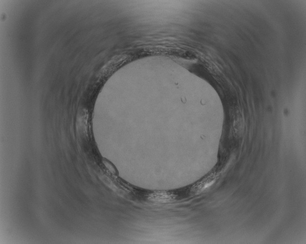 X0000066940231200604211758