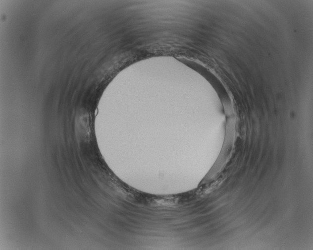 X0000066940232200604211758