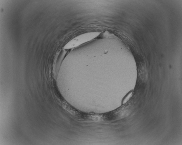 X0000066940233200604211758