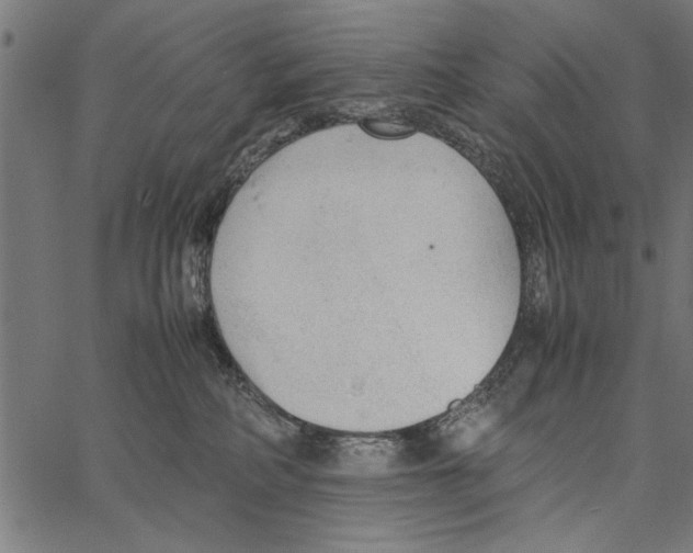 X0000066940234200604211758