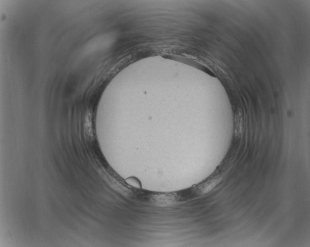 X0000066940238200604211758