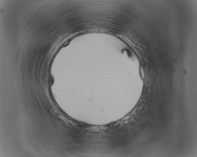 X0000066940241200604211757