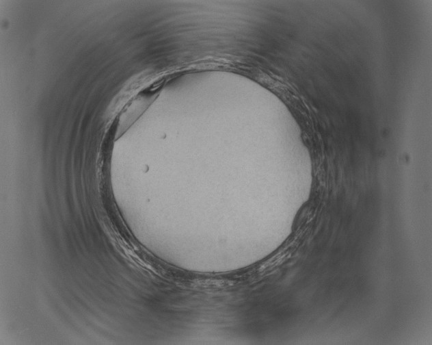 X0000066940242200604211757