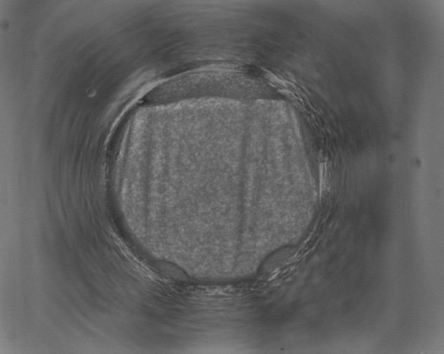 X0000066940243200604211757