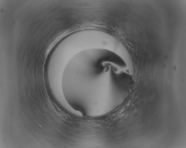 X0000066940244200604211757