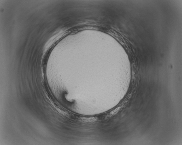 X0000066940245200604211757