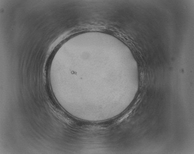 X0000066940246200604211757