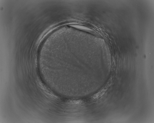 X0000066940247200604211757