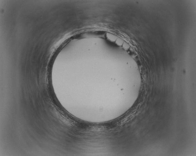 X0000066940248200604211757