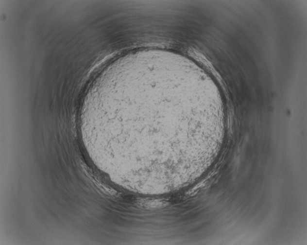 X0000066940249200604211757