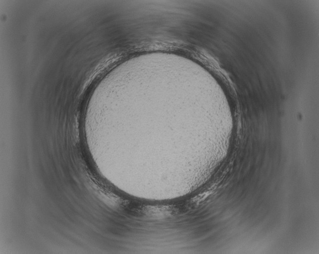 X0000066940250200604211757