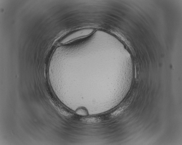 X0000066940253200604211757