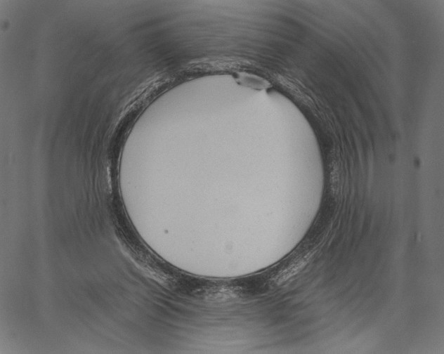 X0000066940254200604211757