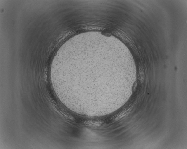 X0000066940255200604211757