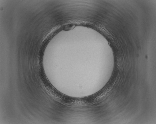 X0000066940256200604211757