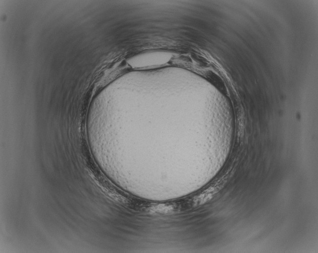 X0000066940257200604211757