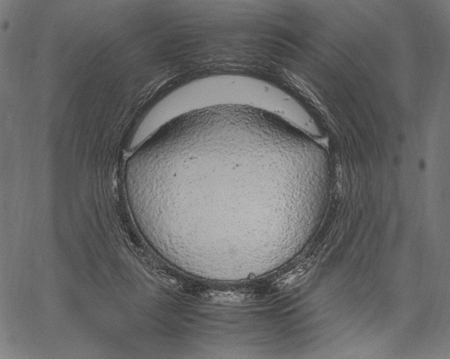 X0000066940259200604211757