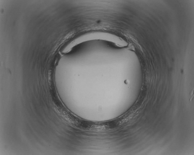 X0000066940260200604211757