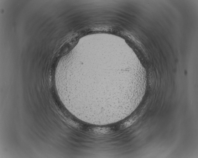 X0000066940261200604211757