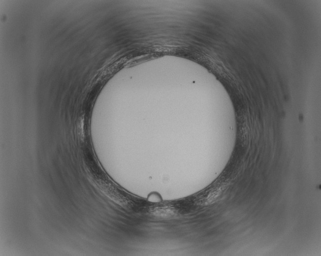 X0000066940262200604211757