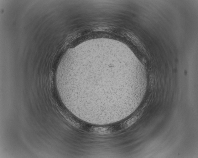 X0000066940265200604211757