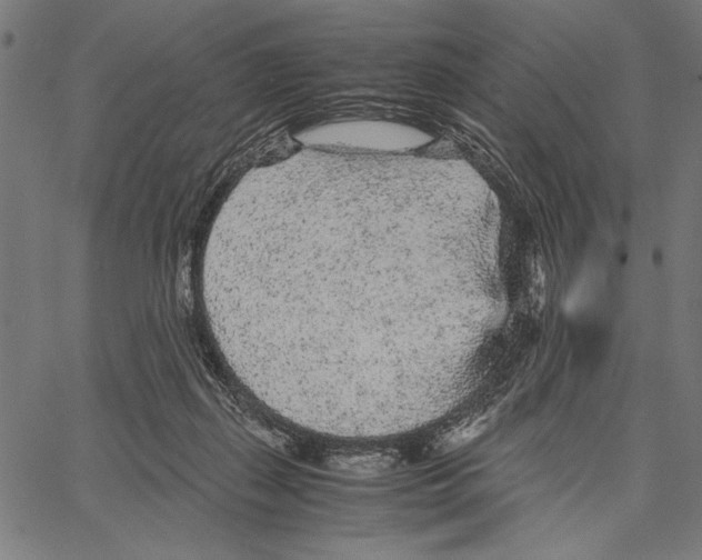 X0000066940267200604211757