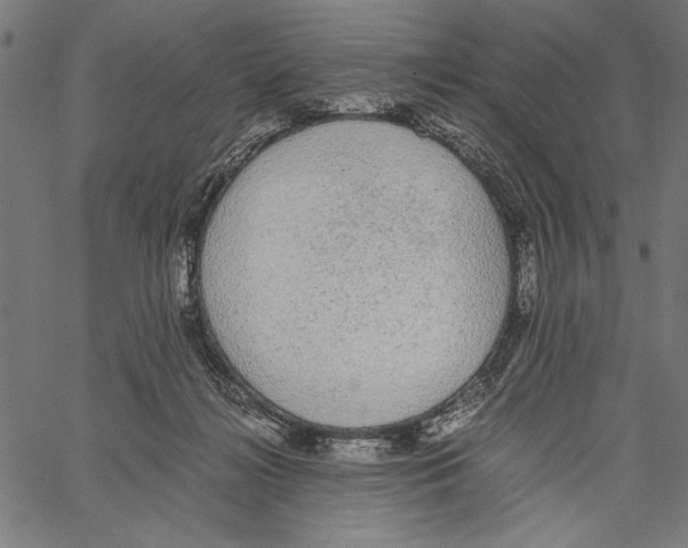 X0000066940268200604211757