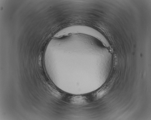 X0000066940269200604211757