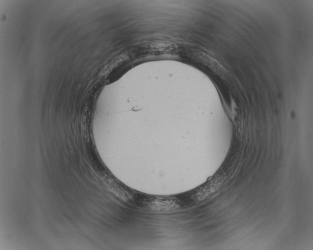 X0000066940270200604211757