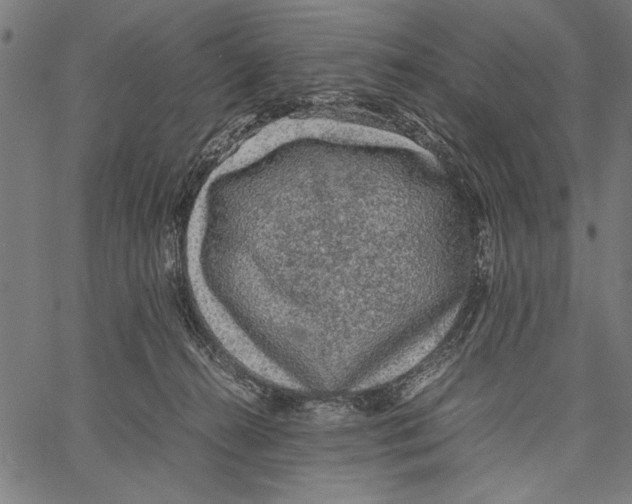 X0000066940272200604211757