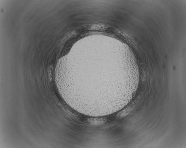 X0000066940273200604211757