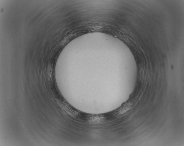 X0000066940274200604211757