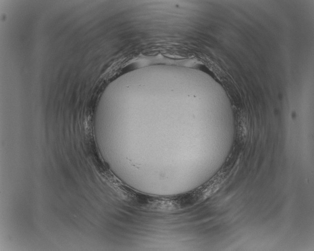 X0000066940276200604211757