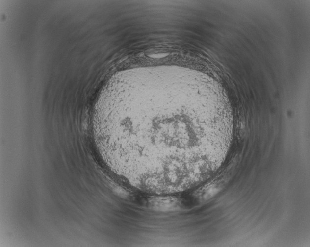 X0000066940277200604211757