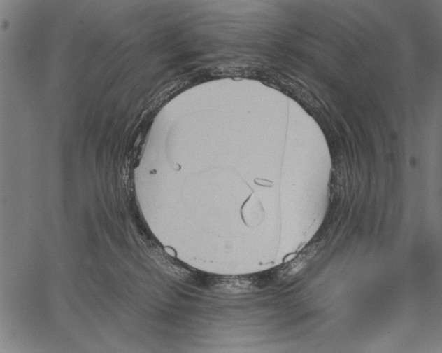 X0000066940278200604211757