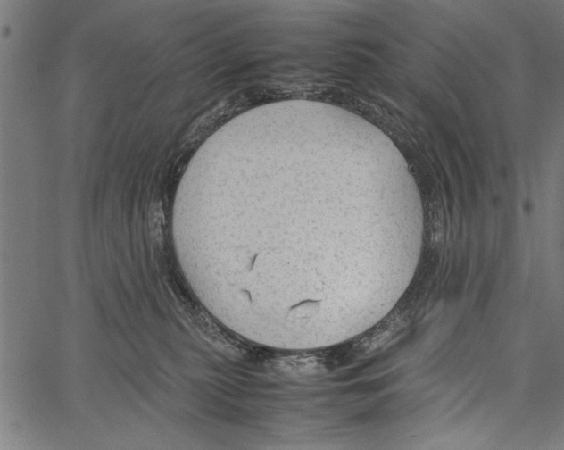 X0000066940279200604211757