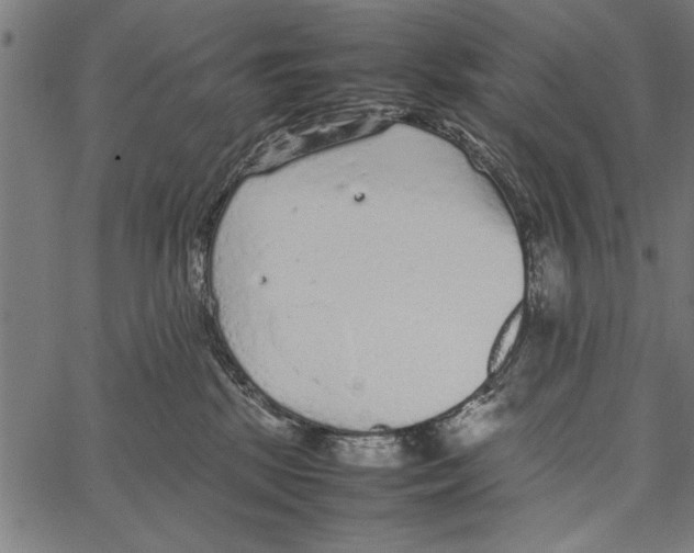 X0000066940281200604211757