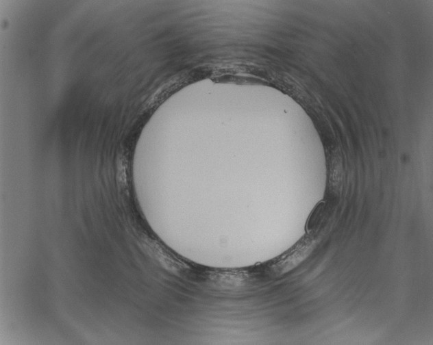 X0000066940282200604211757