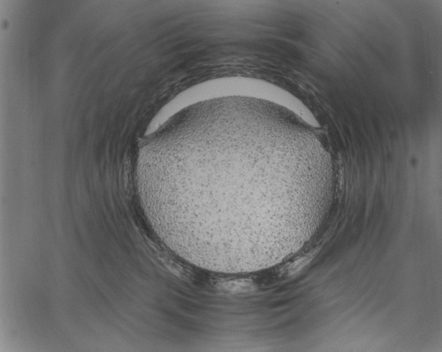 X0000066940283200604211757