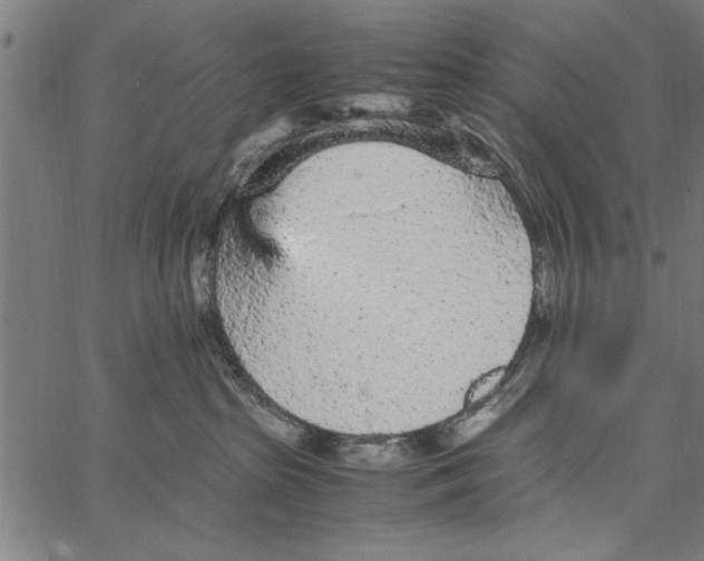 X0000066940285200604211757