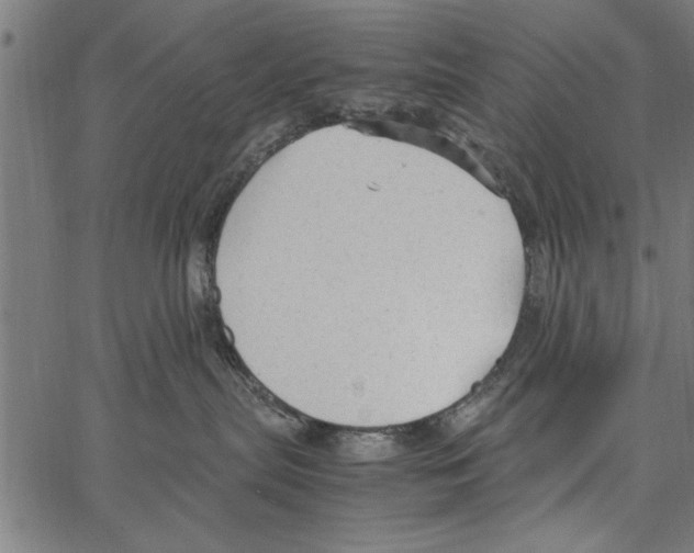 X0000066940287200604211758