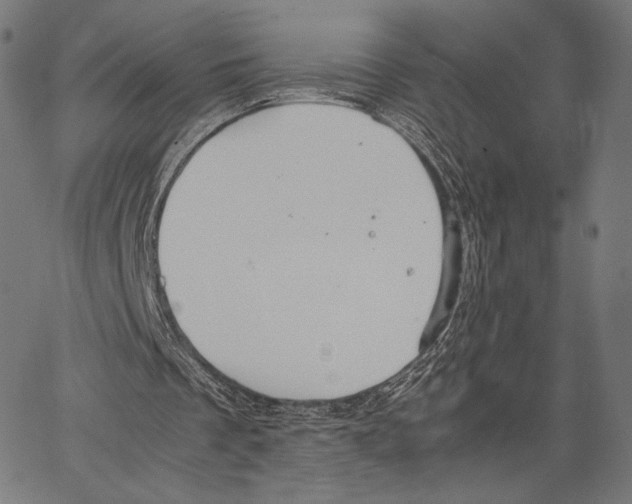 X0000066940289200604211757