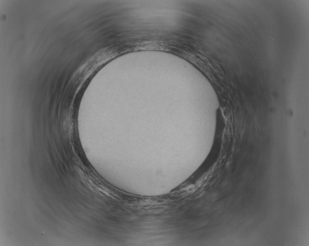 X0000066940290200604211757