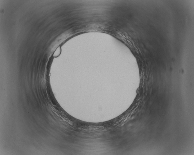 X0000066940292200604211757