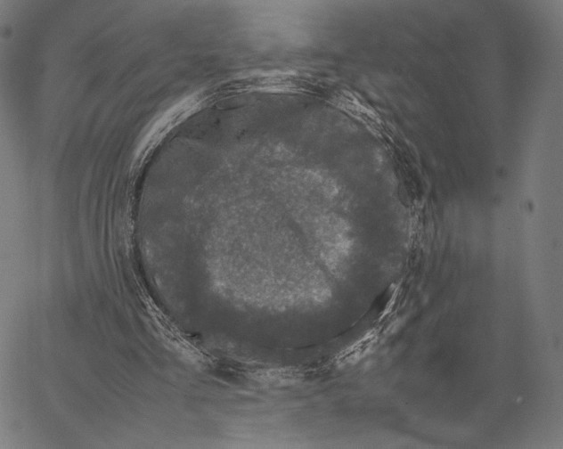 X0000066940293200604211757